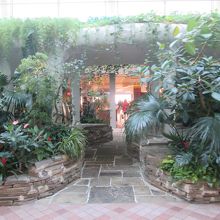 羽田空港ターミナル ビッグバード