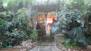 搭乗までの時間を有効活用できる