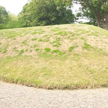 こんなに近くまで行けます