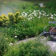 花の開花時期だけ開園するテーマパーク