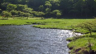 風光明媚な湿原