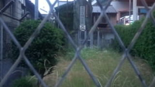 フェンスにかこまれていました。