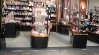 外国の方のお土産に最適！