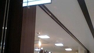 小説も並んでいます！