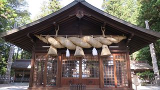 しめ縄と御神湯、御柱、狛犬が印象的