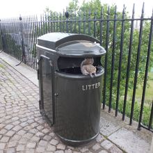 ゴミ箱にリスがいました