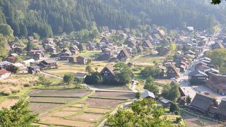 萩町城跡からの眺めが良い