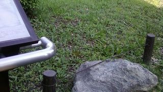 意外な置物にびっくり。