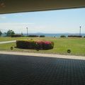 琵琶湖を眺め