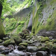 マイナスイオンが降り注ぐ