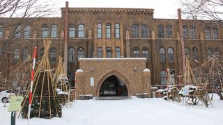 北海道大学内にある博物館