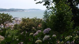 長谷寺から見える景色は抜群