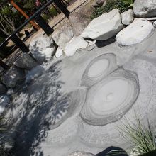 動画で撮らないと表現できないかも