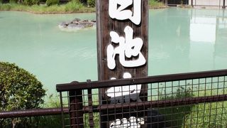 確かに白いけど・・・