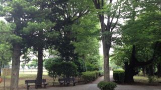 施設充実の公園