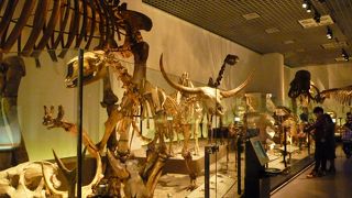 子供の学習に良い博物館