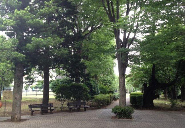 施設充実の公園