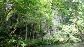 渓流の巨大な壁！