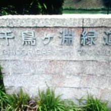 緑道の入り口にあります