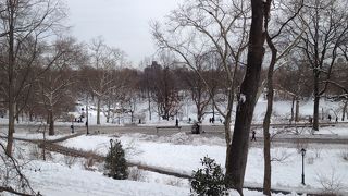 ニューヨークで1番大きい公園