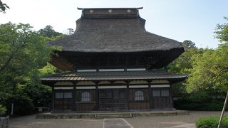 思わず本物とつぶやきました