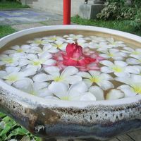 ホテルの名前にもあるフランジパニ