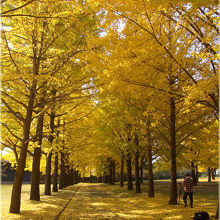 言葉は要りません。素敵！