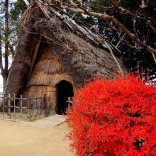 田能遺跡 （タノイセキ）