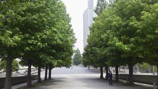 公園脇にある「グランモール公園 いちょう通り」～みなとみらい～