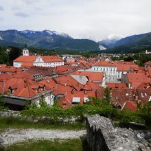 博物館のある丘の上からの見晴らし