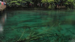 湖底の木々が印象的