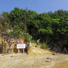 願掛けのハート型の絵馬や貝殻の絵馬がたくさん結びついている