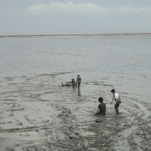 七浦海浜スポーツ公園