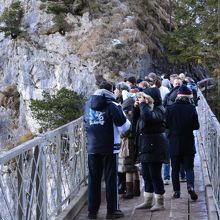 みんなここから撮影