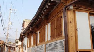 お散歩が気持ちいい