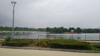 福岡のオアシス