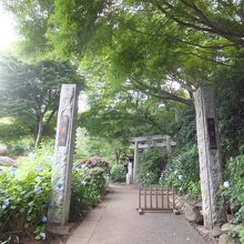 浄慶寺の門