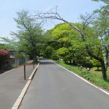 綺麗に整備された道。