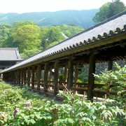 桜井市長谷寺「花の御寺」の最大の見どころ！