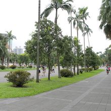 正門を入ったところ。椰子の木が並びます。たくさんの人が行き交