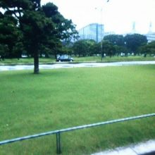 芝生がきれい