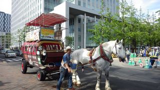 4月から11月までの営業です。