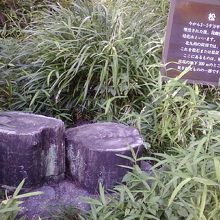 説明がないとよくわかりませんね。