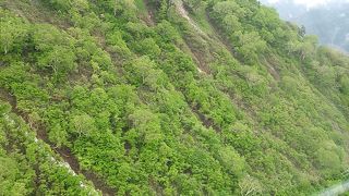 交通費が高いけど、行く価値あり！