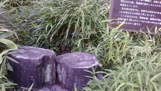 歴史に思いを馳せる展示物。