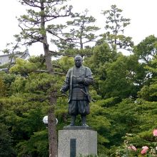 徳川家康公銅像?。岡崎城天守閣と松・薔薇に囲まれて。