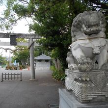 裏参道の狛犬と鳥居。