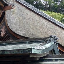 左手から観た、国重要文化財、本殿の檜皮葺流造の屋根。