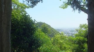 山頂まで車で行けます