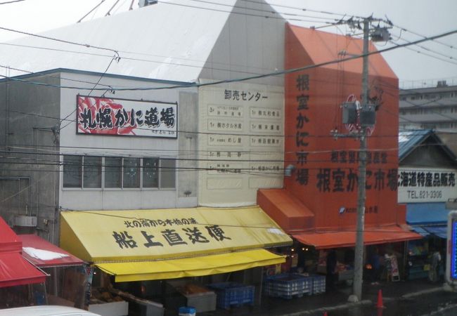 根室産のカニがずらり